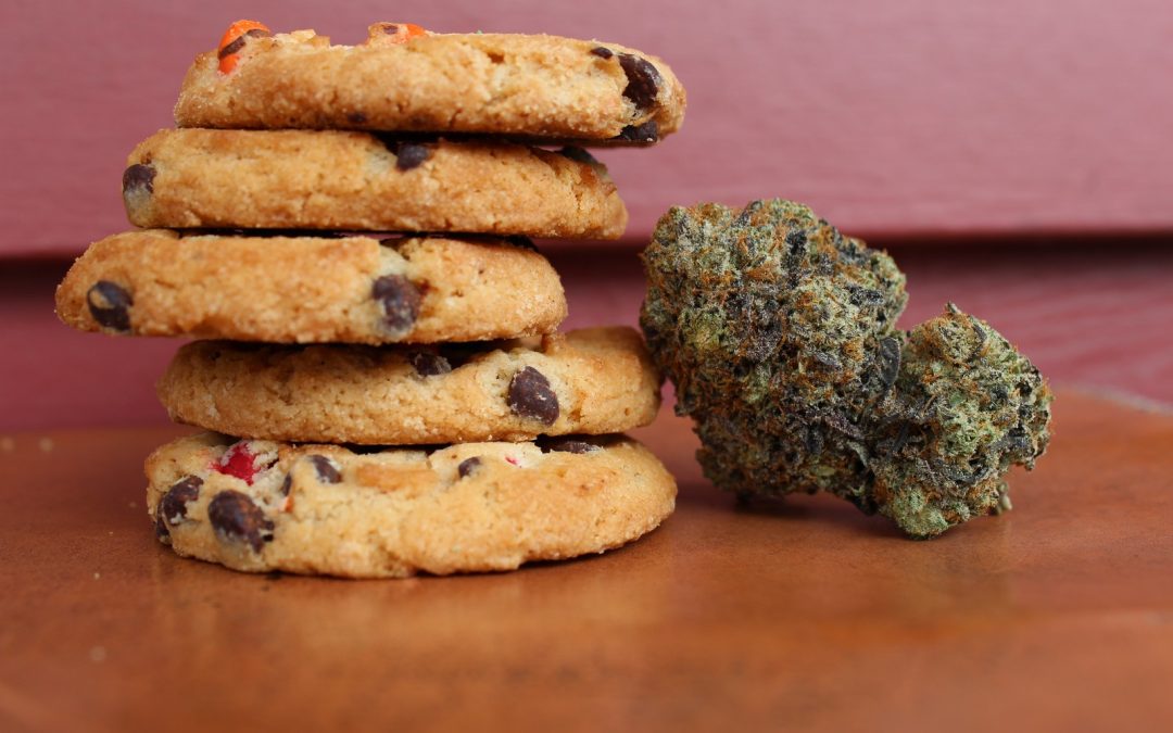 Taste of Paradise: Animal Cookies from Cali Select